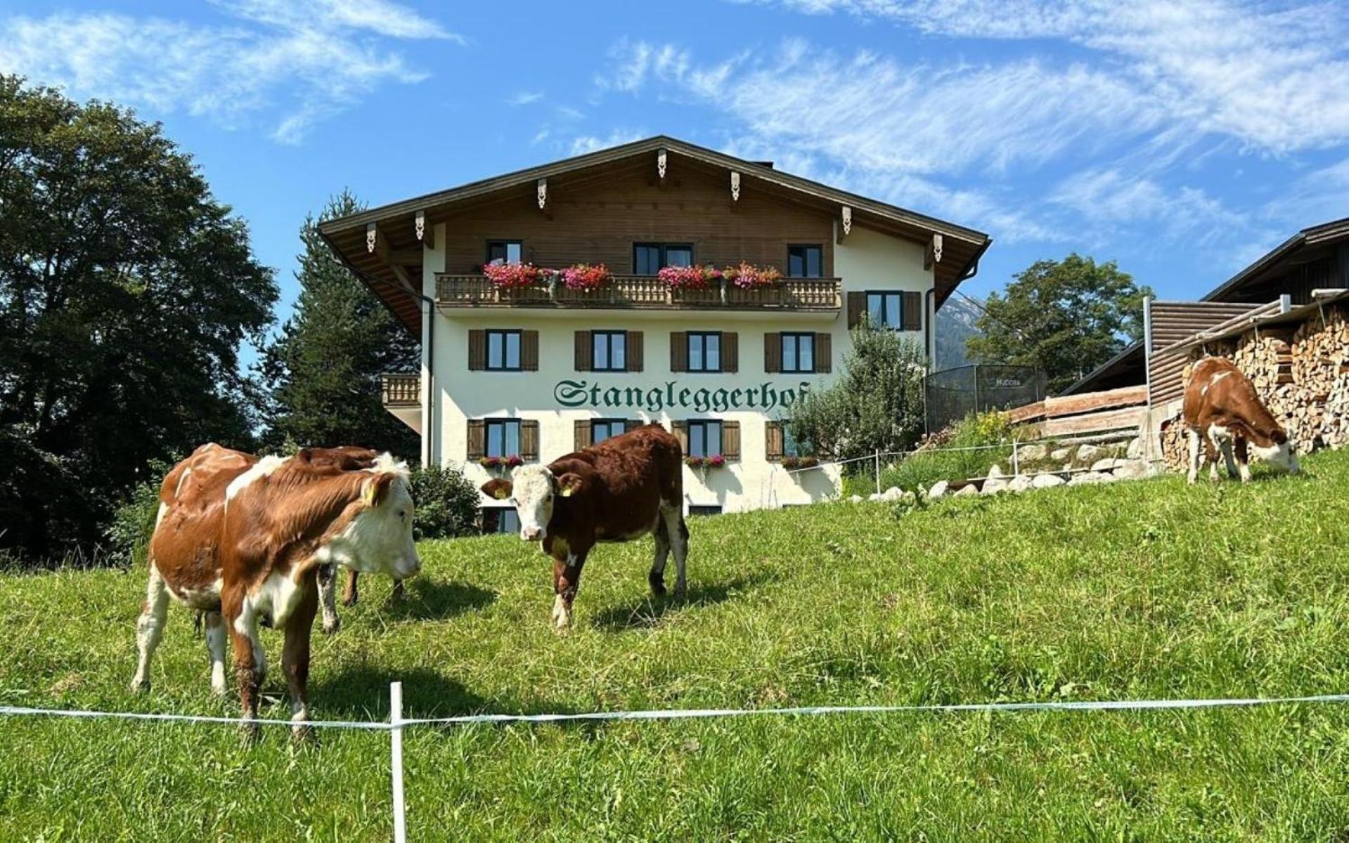 Stangleggerhof Villa Wiesing Kültér fotó